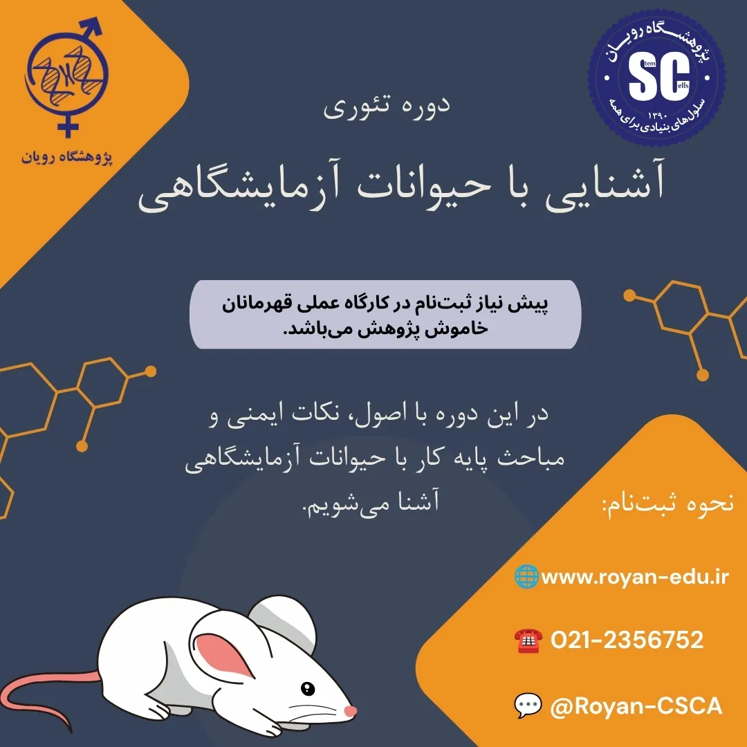 نام دوره